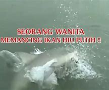 Mancing Ikan Hiu Terbesar Di Dunia